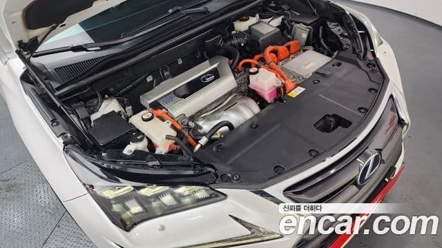 Lexus NX300h Executive, 2016 6