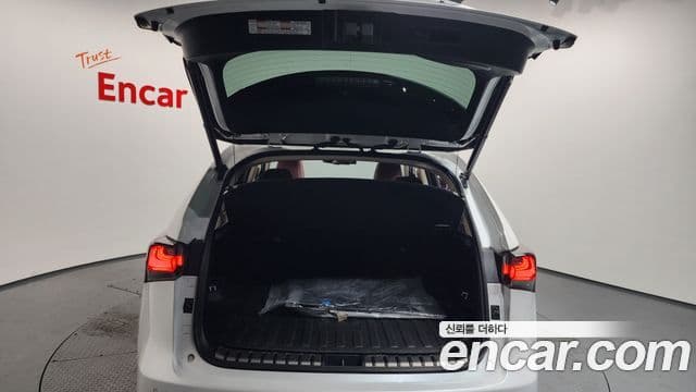 Lexus NX300h Executive, 2016 20