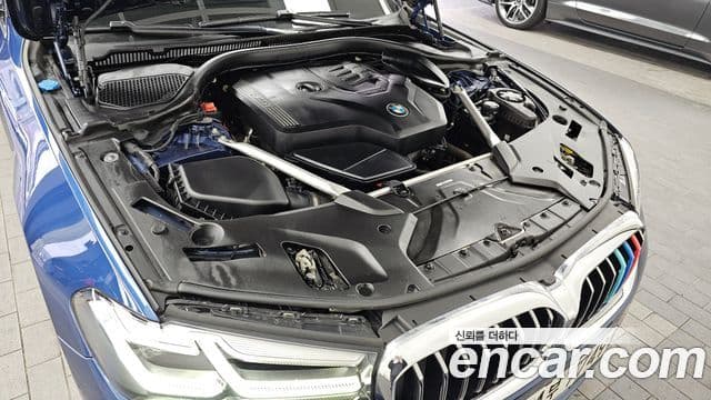 BMW 5시리즈 (G30) Luxury, 2021 6