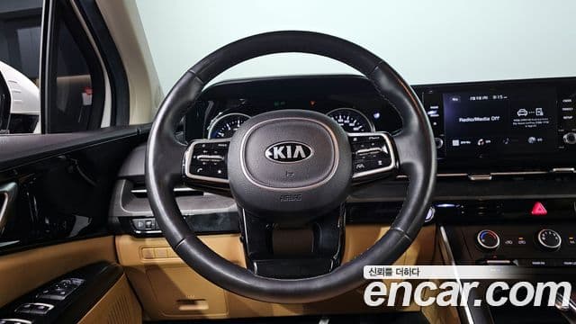 Kia Carnival 4세대 Prestige, 2021 13