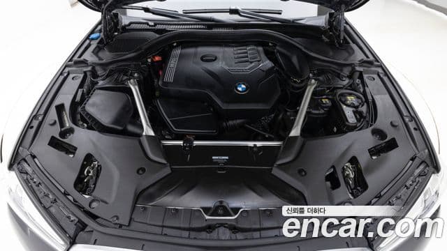 BMW 5시리즈 (G30) Luxury, 2022 8