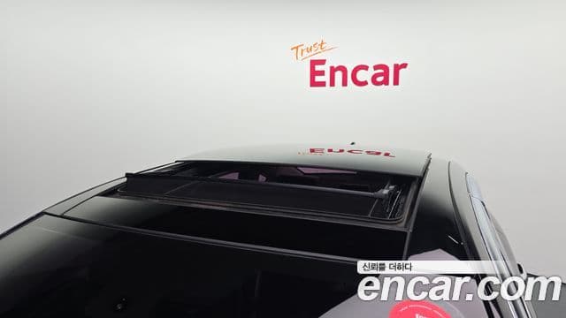 Renault Korea(Samsung) SM6 2.0 LPe SE (для людей с инвалидностью), 2016 20