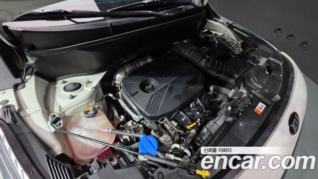 Kia Seltos Signature, 2022 6