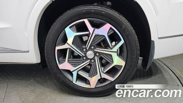 Hyundai Palisade Calligraphy, 2021 все фото