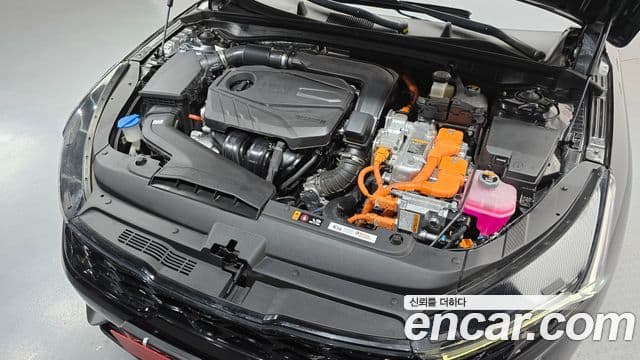 Kia K5 гибрид 3세대 Noblesse, 2023 6