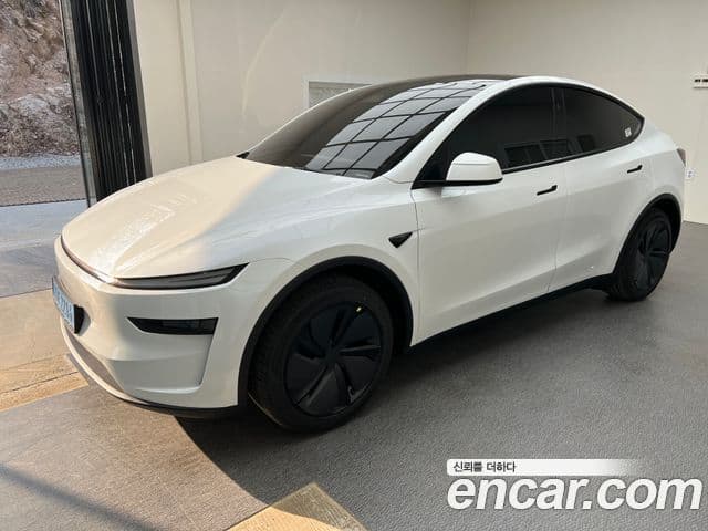 Tesla модель Y Long Range, 2025 все фото