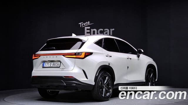 Lexus NX350h 2세대 Premium, 2025 2