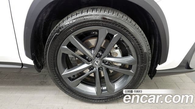 Lexus NX350h 2세대 Premium, 2025 все фото