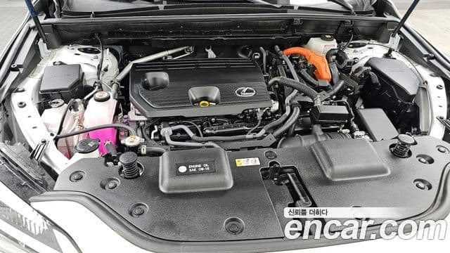 Lexus NX350h 2세대 Premium, 2025 6