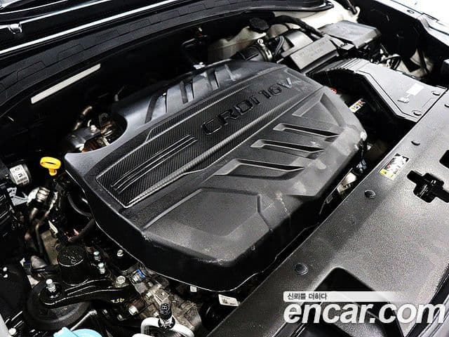 Hyundai Santa Fe TM Exclusive Special, 2019 15