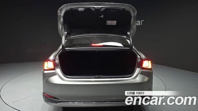 Lexus ES300h 7세대 Luxury Plus, 2020 20