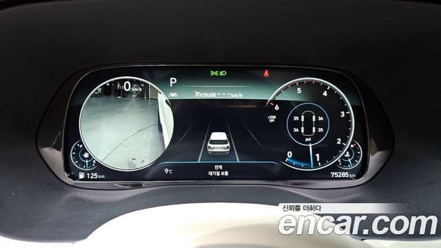 Hyundai Palisade Calligraphy, 2022 8