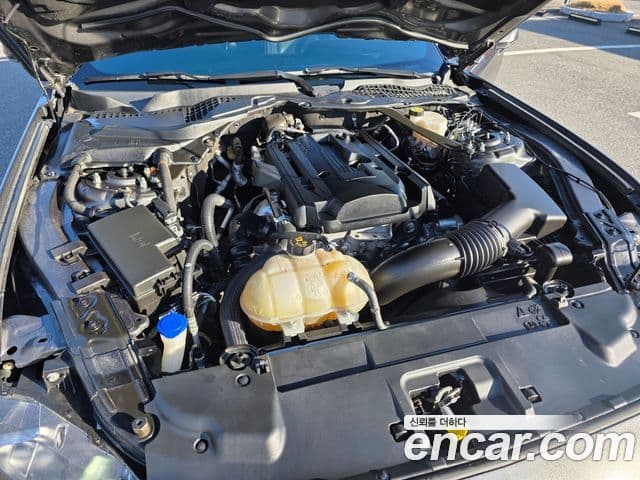 Ford Mustang купе, 2020 все фото