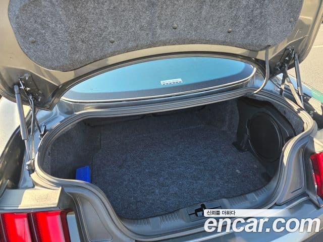 Ford Mustang купе, 2020 17