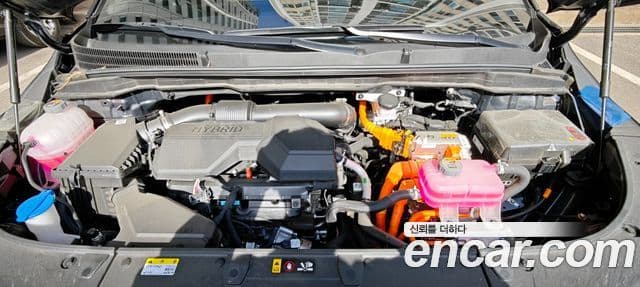 Kia The / новый New Carnival 4세대 Gravity, 2025 16