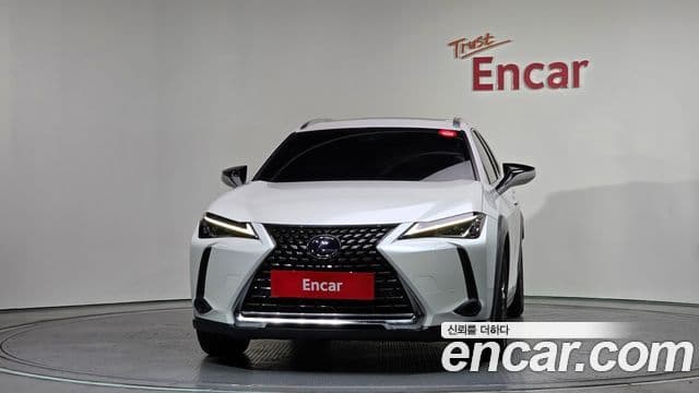 Lexus UX250h, 2019 3