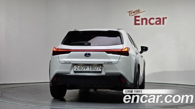 Lexus UX250h, 2019 4