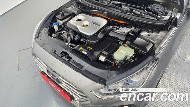 Hyundai Sonata New 라이즈 гибрид Premium, 2018 6