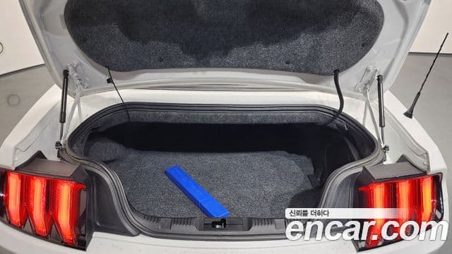 Ford Mustang кабриолет, 2019 20