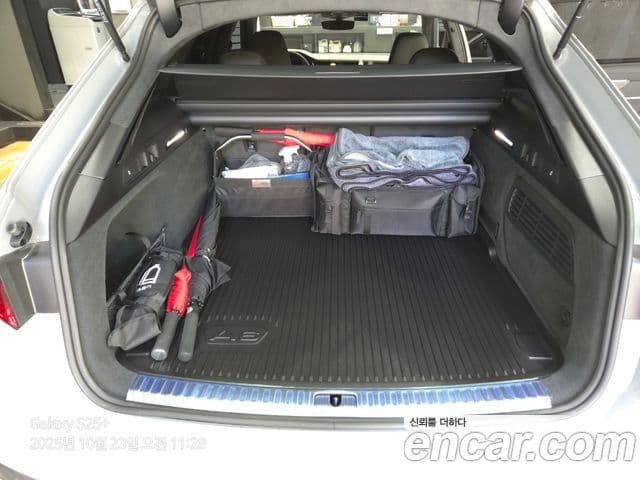 Audi RS6 (C8) 4.0 TFSI Quattro Avant performance, 2025 19