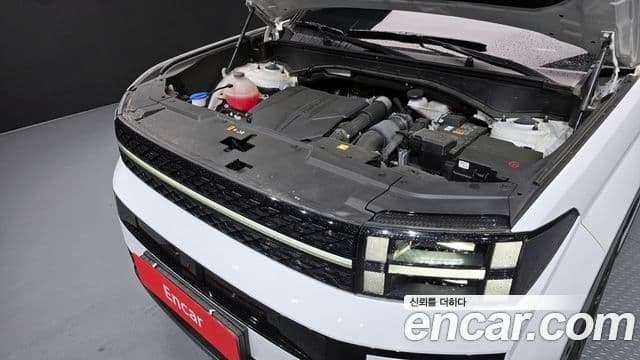 Hyundai Santa Fe (MX5) Calligraphy, 2024 6