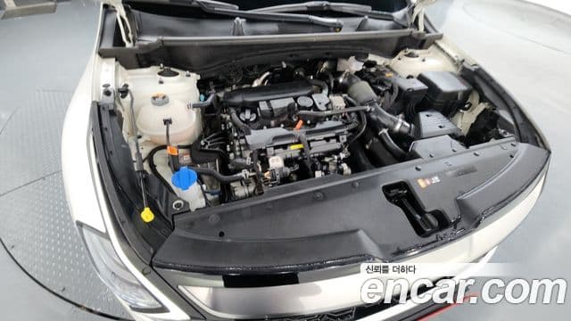 Kia Sportage 5세대 Signature, 2024 6