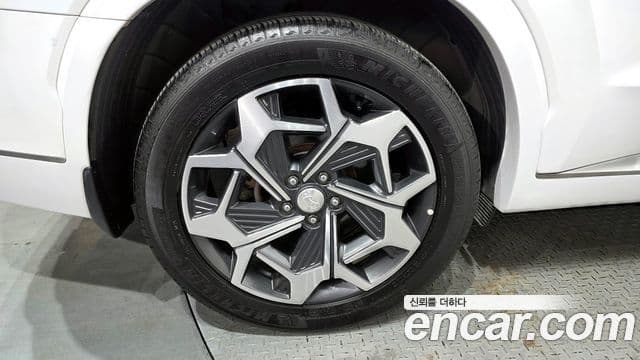 Hyundai Palisade Calligraphy, 2022 все фото