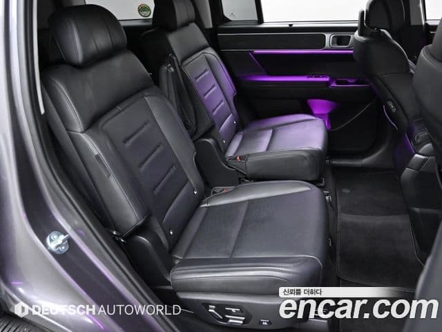 Hyundai Santa Fe (MX5) Calligraphy, 2024 12