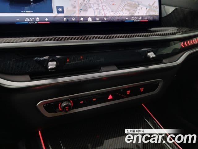 BMW X7 (G07) xDrive 40i M Sport 6인승, 2025 11
