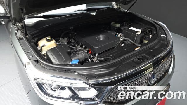 KG모빌리티(SsangYong) G4 Rexton Eurasia Edition, 2018 6