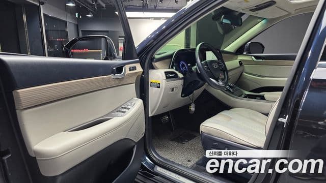 Hyundai Palisade Prestige, 2019 10