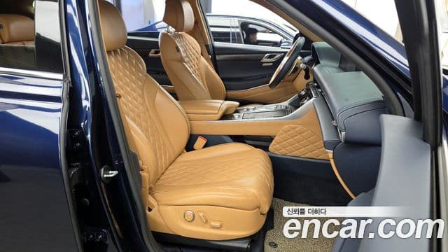 Genesis GV80, 2020 11