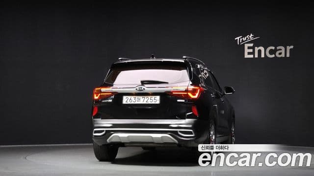 Kia Seltos Noblesse, 2020 4