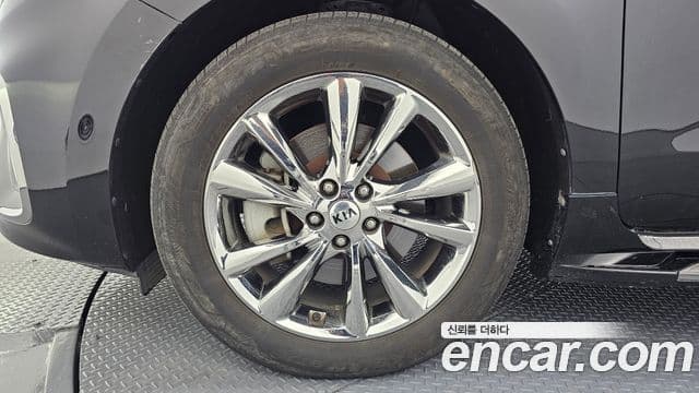 Kia The / новый New Carnival Noblesse, 2019 все фото