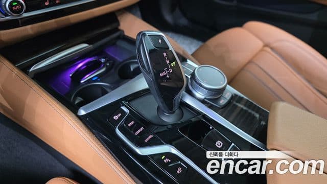 BMW 5시리즈 (G30) Luxury, 2021 9