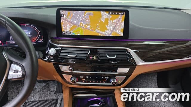 BMW 5시리즈 (G30) Luxury, 2021 15