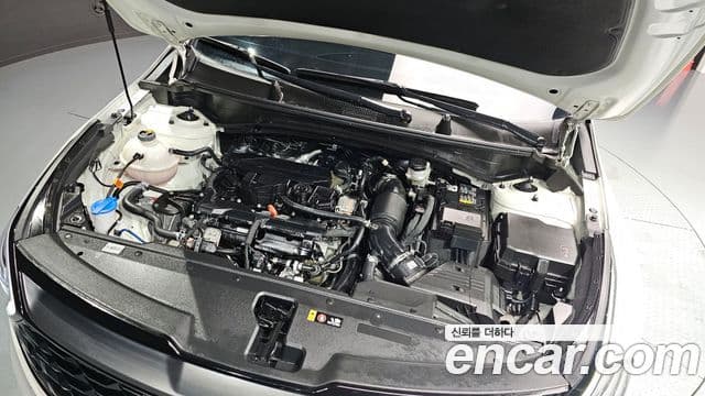 Kia Sportage 5세대 Signature, 2023 6