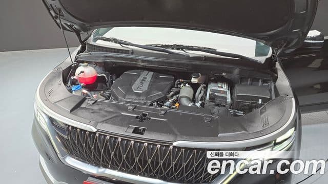 Kia Carnival 4세대 Prestige, 2021 6