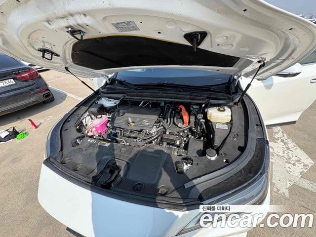 Lexus RX350h 5세대 Luxury, 2025 6