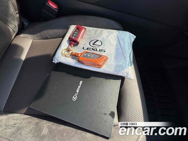 Lexus RX350h 5세대 Luxury, 2025 11