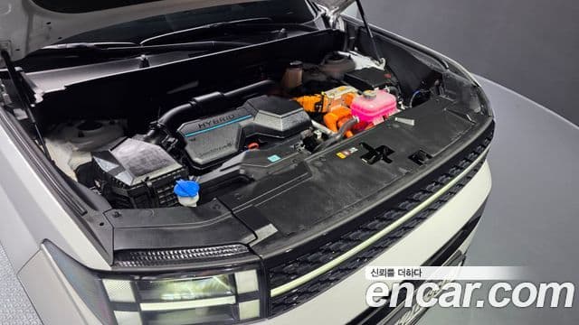 Hyundai Santa Fe (MX5) Calligraphy, 2024 6