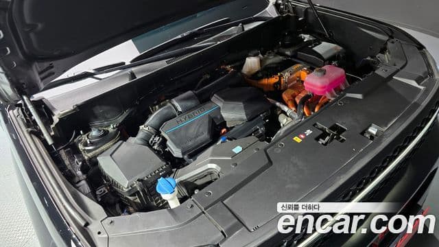 Hyundai Santa Fe (MX5) Calligraphy, 2024 6