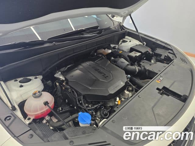 Kia Sorento 4세대 Noblesse, 2023 все фото