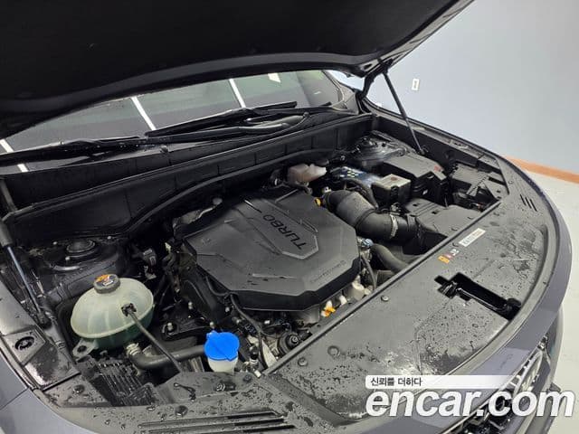 Kia Sorento 4세대 Trendy, 2021 все фото