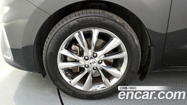 Kia The / новый New Carnival Special, 2019 все фото