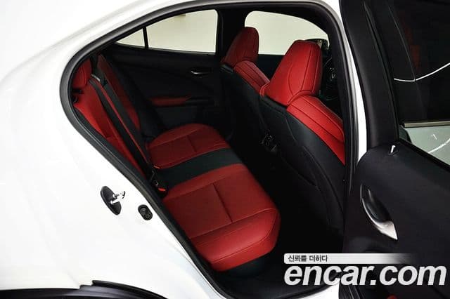 Lexus UX250h 2.0 F-Sport 2WD, 2021 18