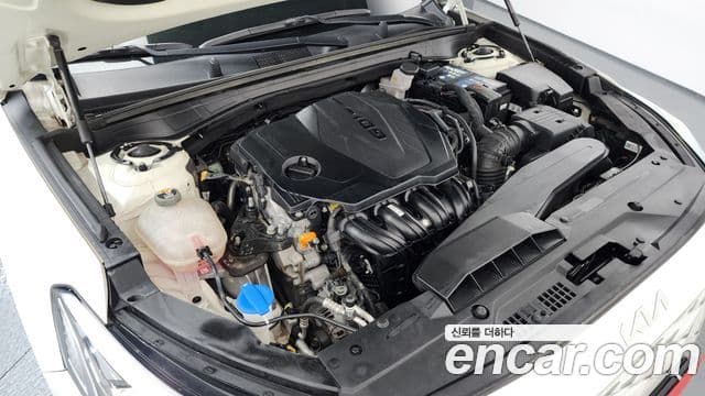 Kia K8 Noblesse, 2022 6