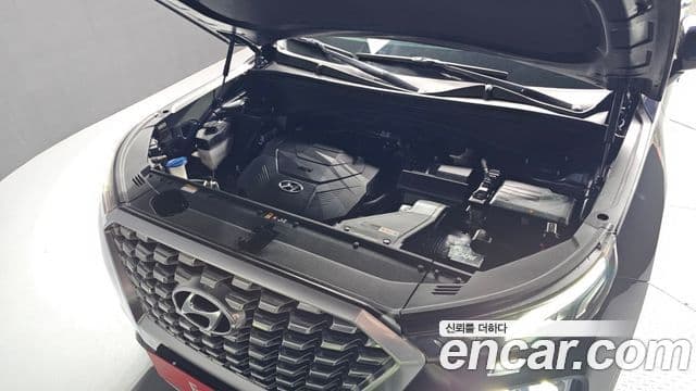 Hyundai Palisade Prestige, 2019 6