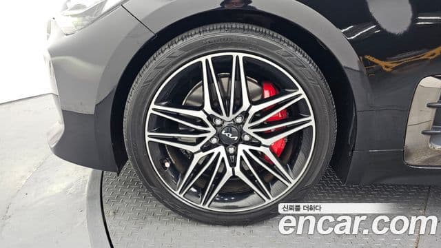 Kia 스팅어 Platinum, 2019 все фото