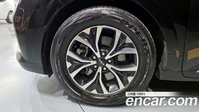 Kia Carnival 4세대 Noblesse, 2022 все фото
